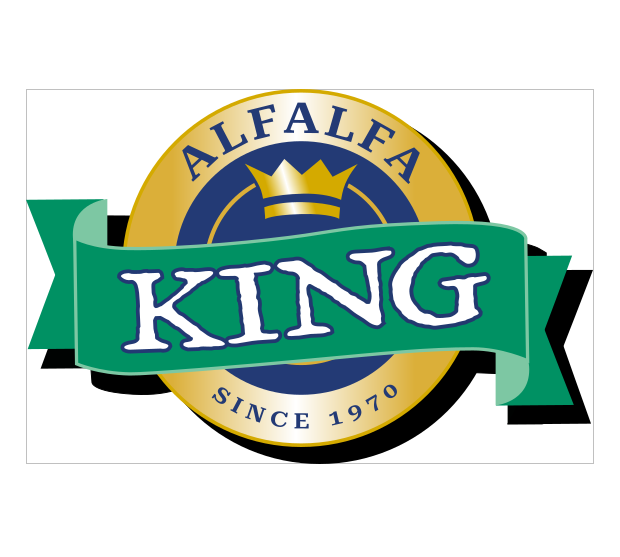 Jazlyn Proctor designer